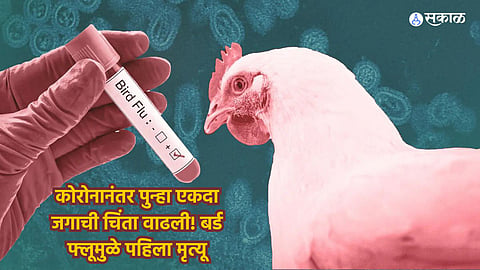Worlds first bird flu human death recorded in Mexico
