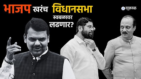 Assembly Elections 2024