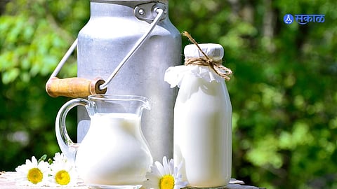World Milk Day 2024