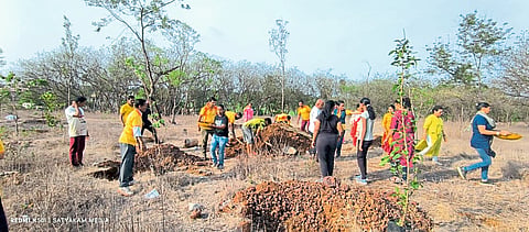 वृक्षप्रेमी संस्थेकडून वृक्षारोपण
