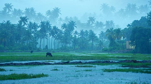 Sindhudurg Monsoon