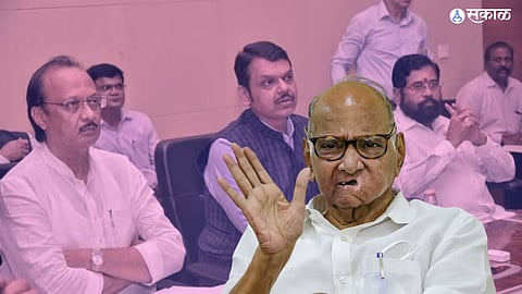 Sharad Pawar on Lok Sabha Election Result