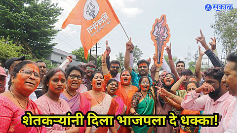 Loksabha Election Result