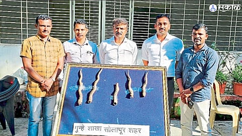 Solapur News