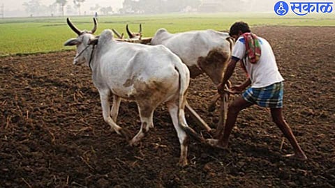 Agriculture