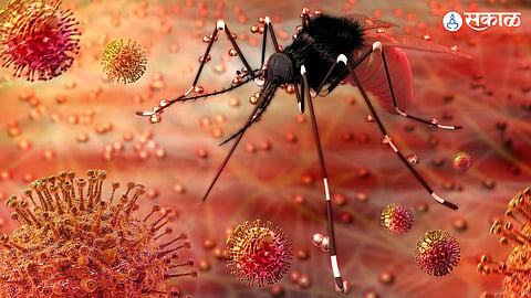 Froth Zika virus cases reported in Pune Preventive plan from Municipal Corporation