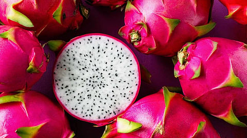 Dragon Fruit