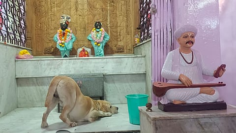 Pune Palkhi Sohala