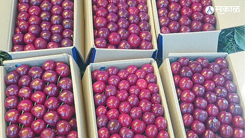 Cherry Rate