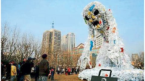 Plastic Pollution