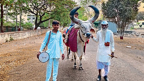 Nandi Bail