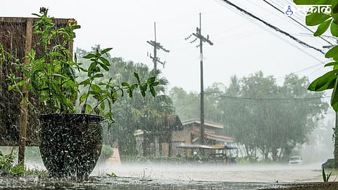 Monsoon Update