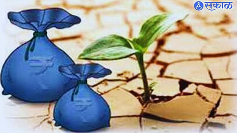 Crop Insurance