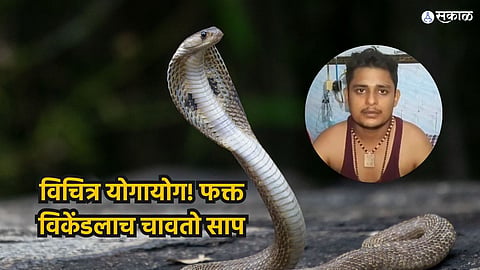 Man In Fatehpur Attacked By Snake Every Weekend