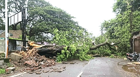 लोणावळ्यात पावसाचा जोर; १३६ मिलीमीटर नोंद