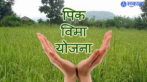 PM Crop Insurance Yojana