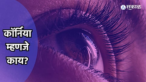 Corneal Damage