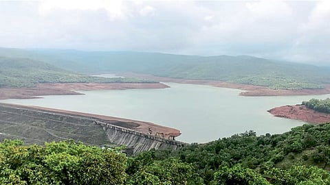 Chandoli Dam Water