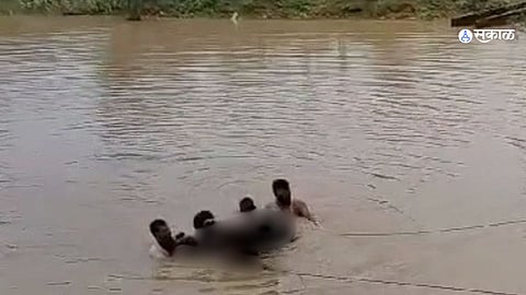 Uttar Pradesh News