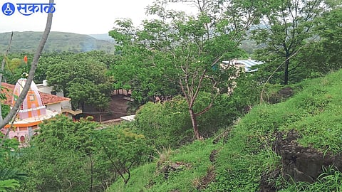 Dhandai Devi Tarun Aikya Mandal on Dhandai Devi's Mal mountain. In the second photo, a pipeline facility built on a hill for drip.