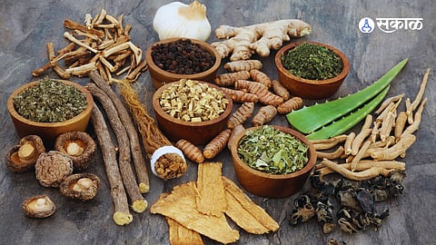 Ayurvedic Herbs