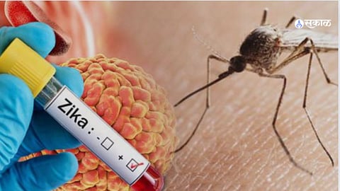 Zika virus news in marathi