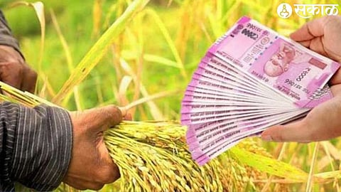 crop loan