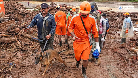 Wayanad Landslide Deaths