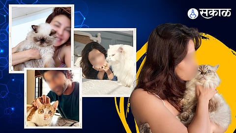 Cat Lover Celebrities: या बॉलीवूड कलाकारांचे सर्वात चांगले मित्र आहेत त्यांच्या मांजरी, वाचा गंमतीशीर बातमी