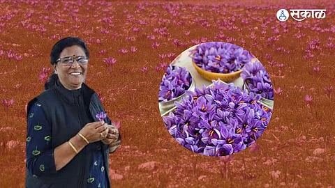 Late bloomer finds success in farming