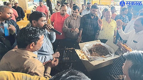 The ongoing auction of Bedana in the market committee