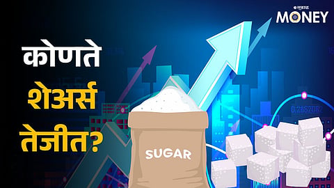 Sugar Stocks