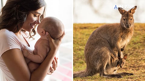 Kangaroo Mother Care: