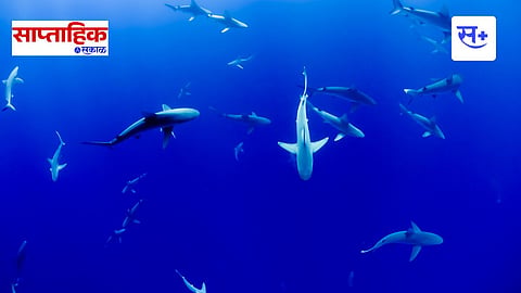 Lakshadweep Island