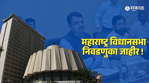 maharashtra vidhansabha election DECLARED