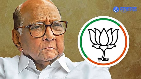 sharad pawar ncp solapur