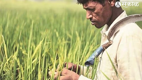 farmer