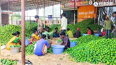 Marathwada News