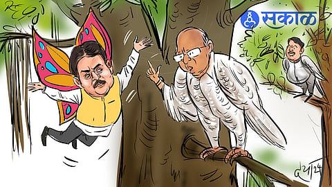 गोफण | सुखाची झोप उडाली, वस्तादांचा मोठा गेम