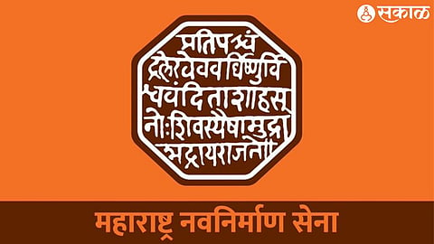 MNS Logo