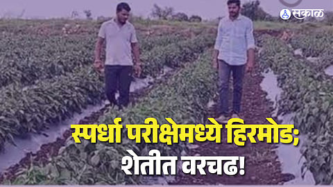 Success Story Agriculture MPSC Balasaheb Naikkinde