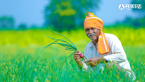 Maharashtra to Roll Out Agri-Stog App for Agricultural Insights