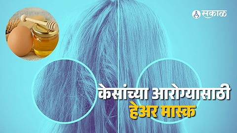 Egg Hair Mask