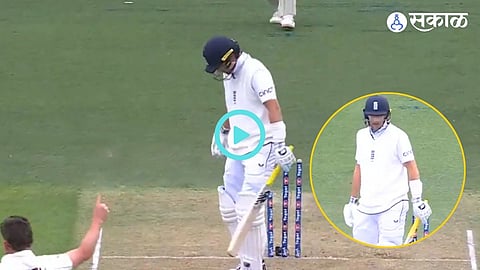 New Zealand vs England