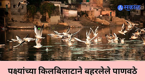 Solapur