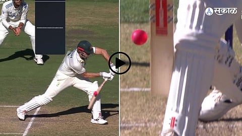 Mitchell marsh