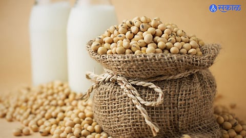 Soybean Procurement