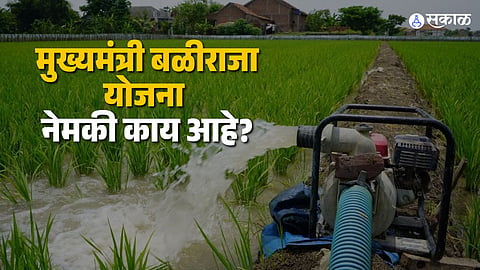 CM Baliraja Scheme : शेतकऱ्यांना मोफत वीज देणारी मुख्यमंत्री बळीराजा योजना नेमकी काय आहे? कोणते शेतकरी पात्र? जाणून घ्या...