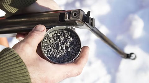 Gun Pellet
