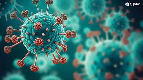 HMPV Virus